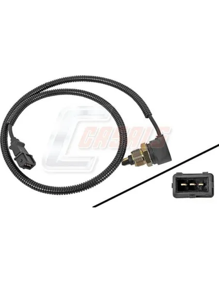 CASALS50648
