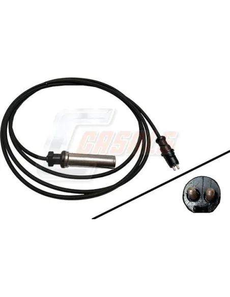 CASALS50658