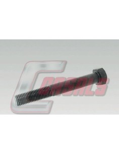 CASALS6200
