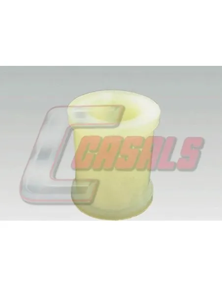 CASALS6202