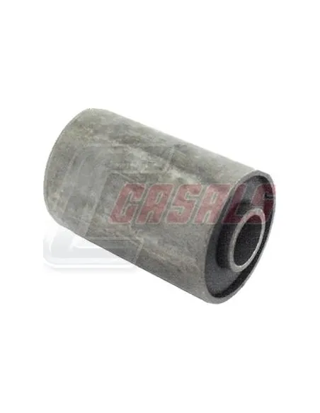 CASALS6210