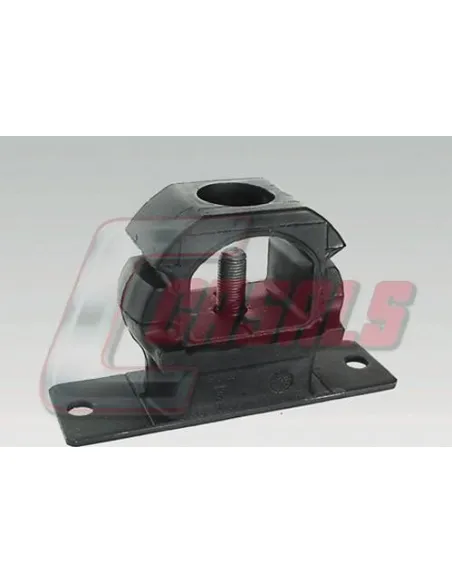 CASALS6238