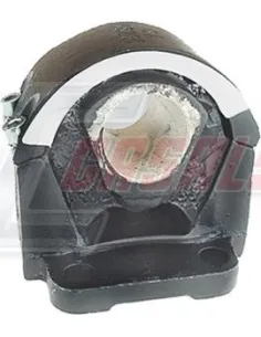 CASALS6250