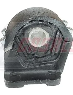 CASALS6255