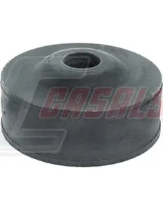 CASALS6256