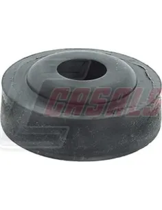 CASALS6257