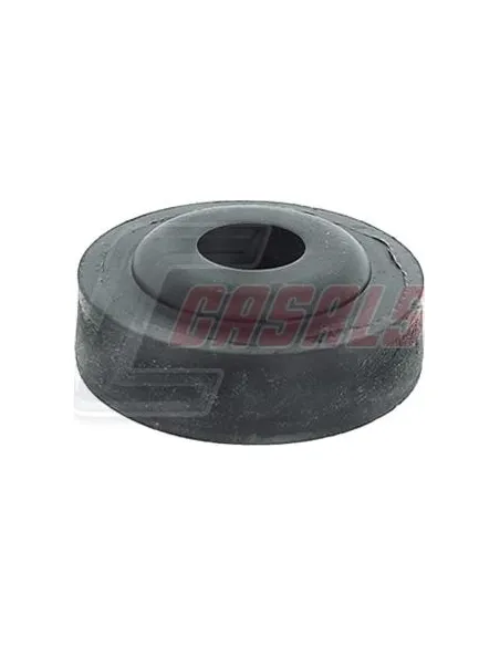CASALS6257