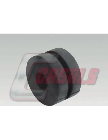CASALS6273