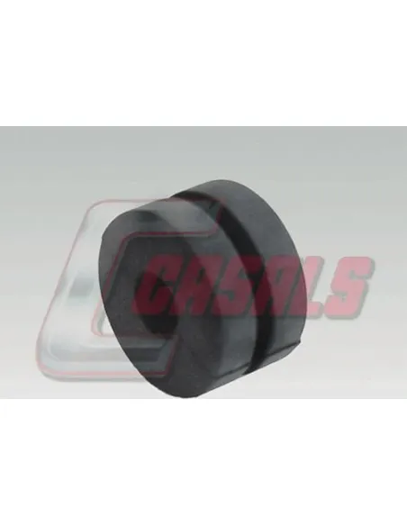 CASALS6273