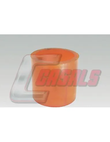 CASALS6298