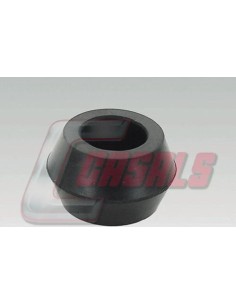 CASALS6346
