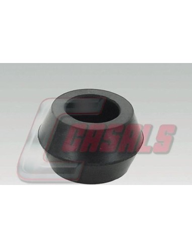 CASALS6346