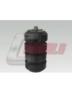 CASALS6403