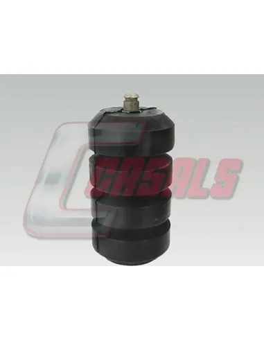 CASALS6403