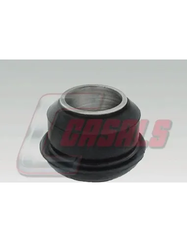 CASALS6407