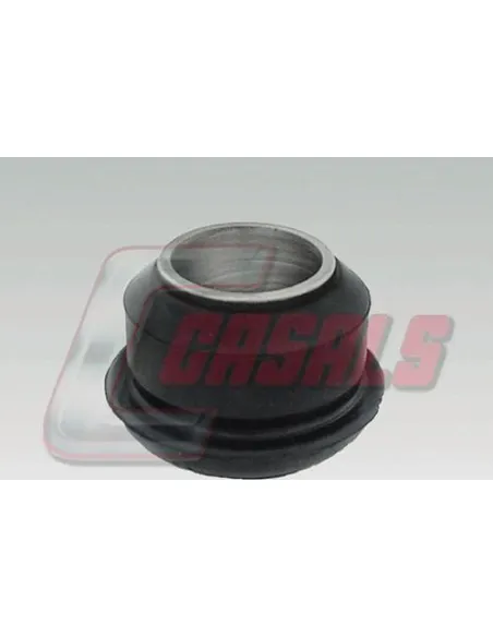 CASALS6407
