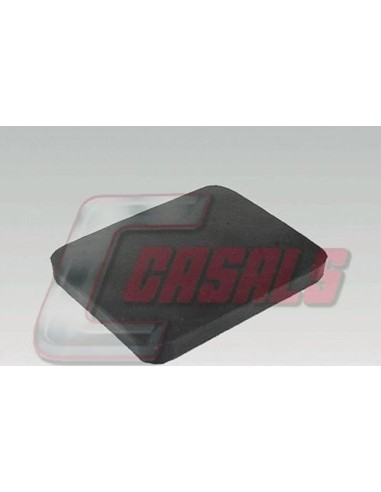 CASALS6410