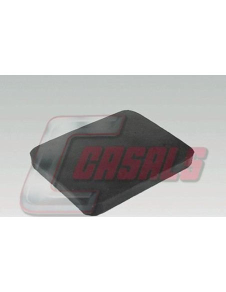 CASALS6410