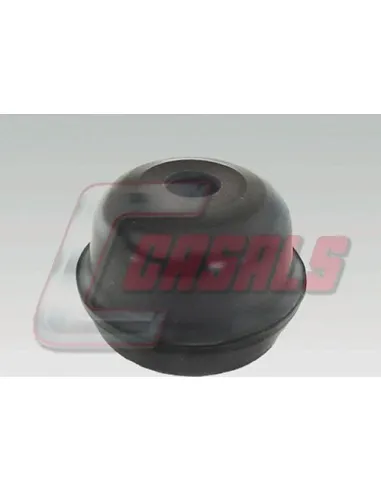 CASALS6422