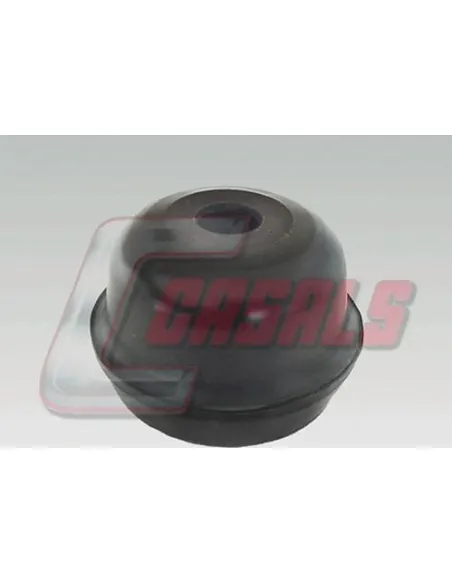 CASALS6422