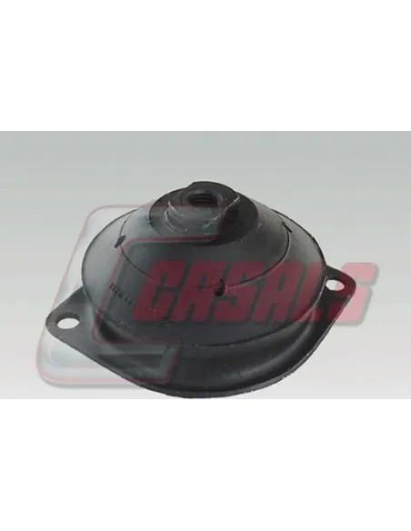 CASALS6441