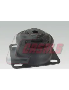 CASALS6446
