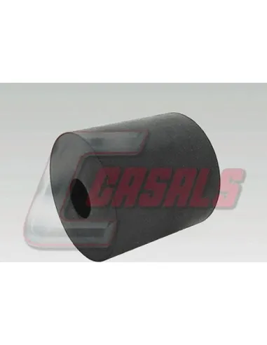 CASALS6461