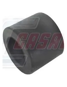 CASALS6481