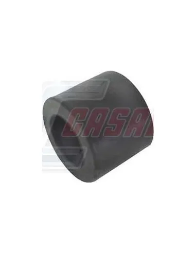 CASALS6481
