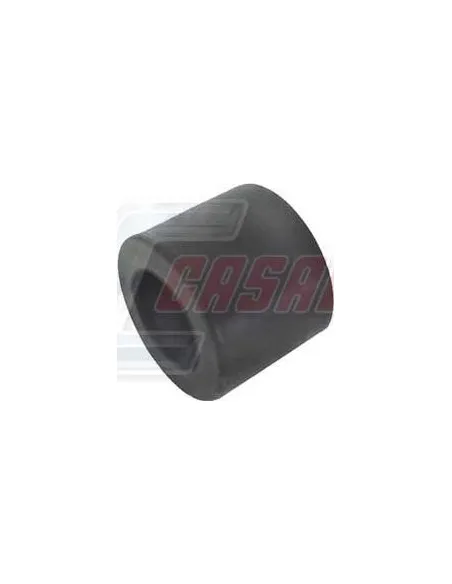 CASALS6481