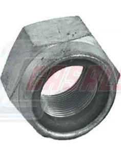 CASALS6484
