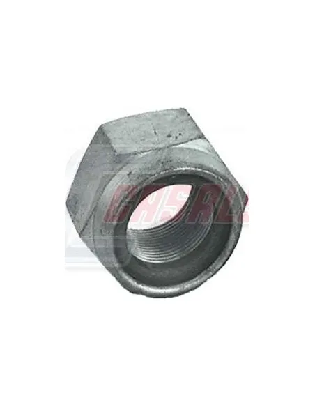 CASALS6484