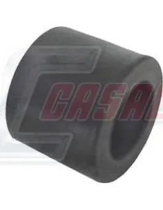 CASALS6485