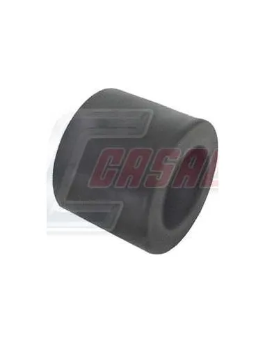 CASALS6485