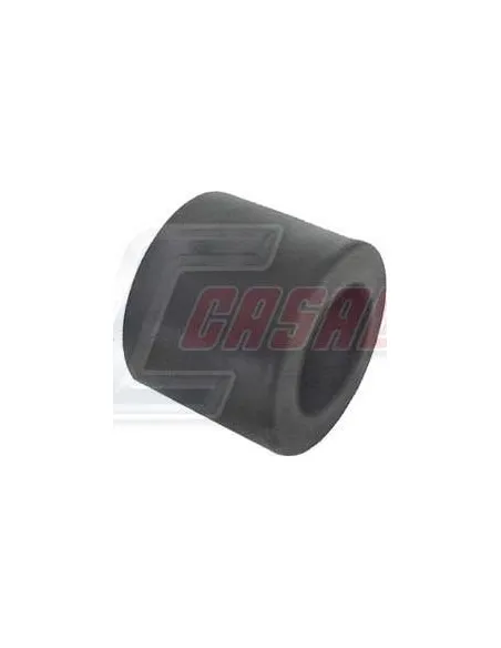 CASALS6485