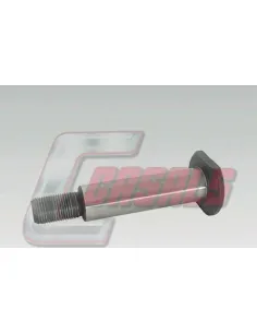 CASALS6508