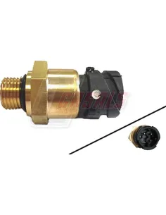 CASALS65104