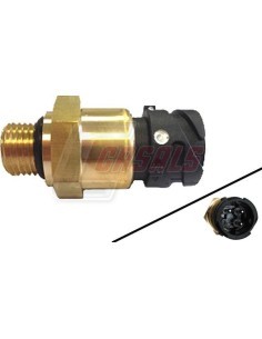 CASALS65105