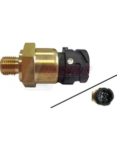 CASALS65106