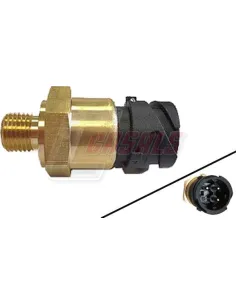 CASALS65107