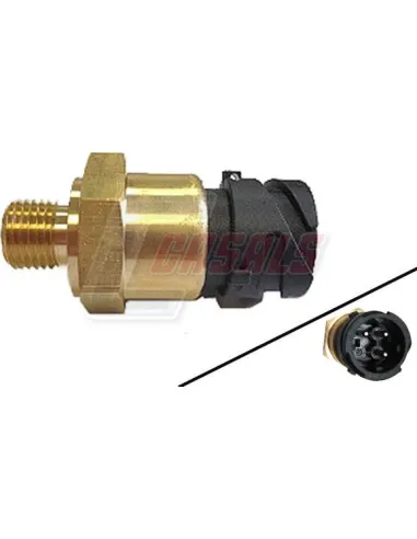 CASALS65107