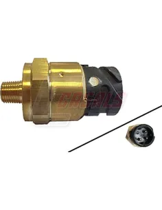 CASALS65114