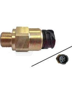CASALS65119