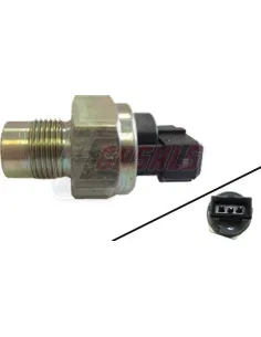 CASALS65122