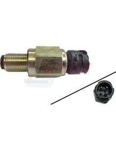CASALS65125