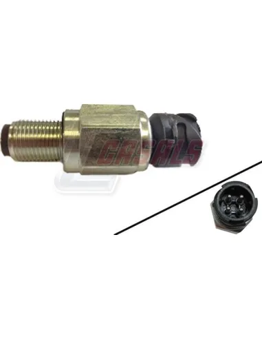 CASALS65125