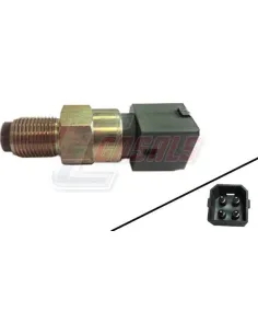 CASALS65128