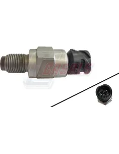 CASALS65135
