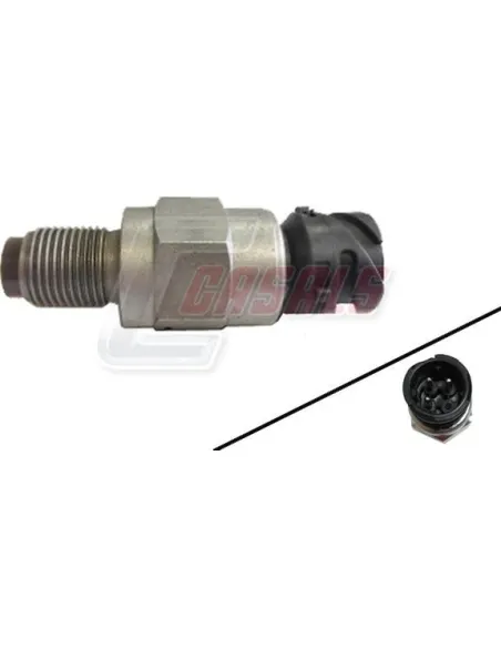 CASALS65135