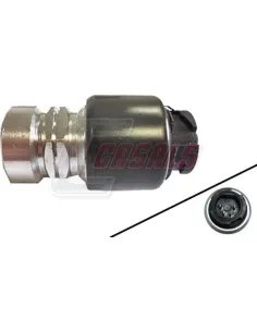 CASALS65137